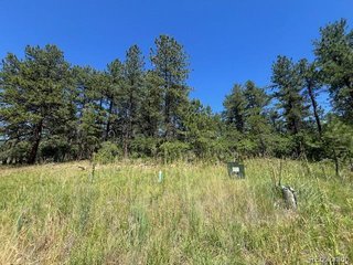 773 Copper Fox Pl Larkspur, CO 80118
