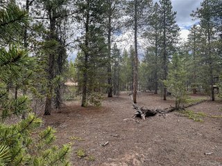 284 Fir Dr Twin Lakes, CO 80461