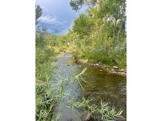 1122 Little River Ln Poncha Springs, CO 81242