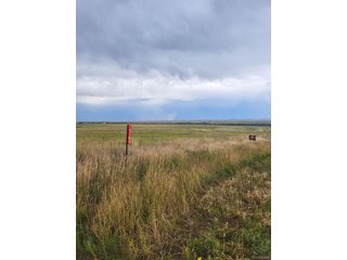 15385 County Road 166 Kiowa, CO 80117