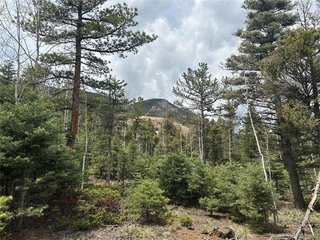 357 Big Horn Manitou Springs, CO 80829