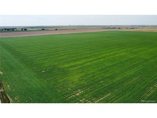 (TBD) County Road 33 Genoa, CO 80818