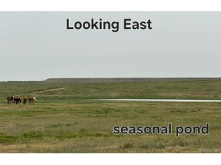 (TBD) county rd 96 lot 2 Pierce, CO 80520
