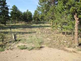 9798 Ranch Rd Hartsel, CO 80449