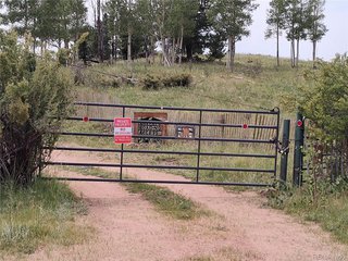 3154 CR 863 Victor, CO 80860