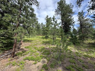 116 Happy Valley Manitou Springs, CO 80829