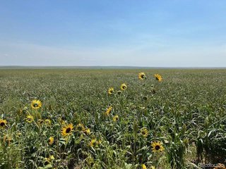 (TBD) TBD 96th Ave Byers, CO 80103