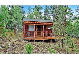 109 Wolf Rd Bailey, CO 80421