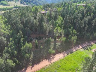 490 Willow Rd Divide, CO 80814