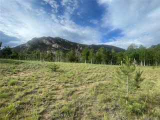 171 Emerald Way Lake George, CO 80827