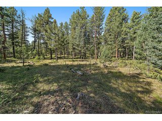 0 Evergreen Dr Conifer, CO 80433