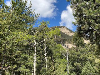 210 Waterfall Loop Manitou Springs, CO 80829