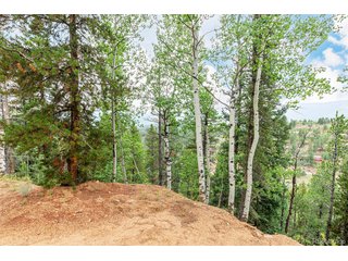 427 Wise Rd Bailey, CO 80421