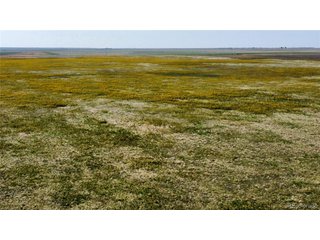 (TBD) County Road 22 Matheson, CO 80830