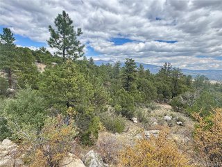 30110 Princeton Hls Buena Vista, CO 81211