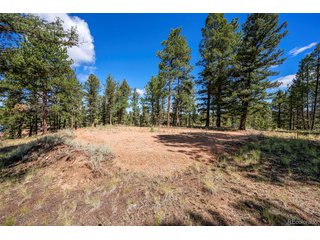 210 Donzi Trl Florissant, CO 80816