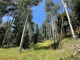 7 Calkins St Jasper, CO 81132