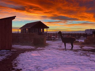 27028 Garo Park Dr Blanca, CO 81123