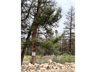 0 Middle Fork Vis Fairplay, CO 80440