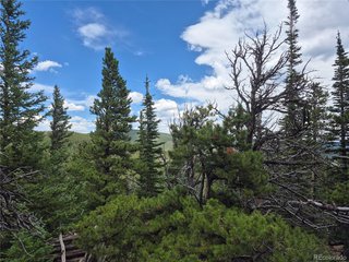 1900 County Road 128J Nederland, CO 80466