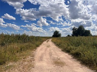 1160 Immel St Limon, CO 80828