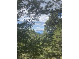 216 Troy Dr Cripple Creek, CO 80813