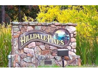10136 Crest View Dr Morrison, CO 80465
