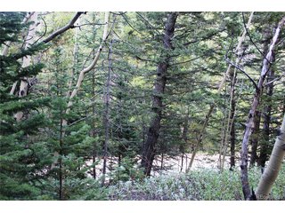 5340 FS 718.1 Black Hawk, CO 80422