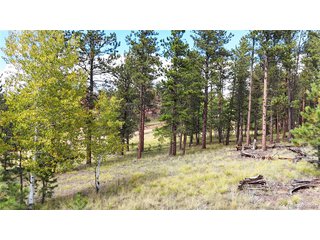 2265 Vagabond Creek Dr Lake George, CO 80827