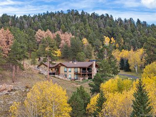 13116 S Noka Trl Pine, CO 80470