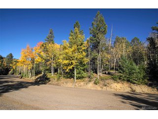 11637 Leavenworth Dr Conifer, CO 80433