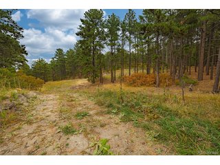 14420 S Perry Park Rd Larkspur, CO 80118
