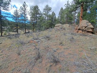 1077 Roland Dr Bailey, CO 80421