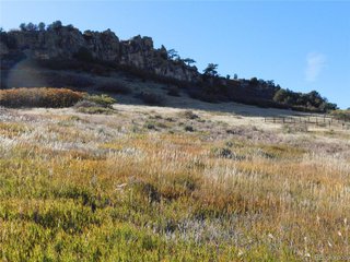 5498 Country Club Dr Larkspur, CO 80118