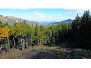 429 Sawmill Ln Idaho Springs, CO 80452