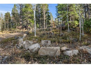84 Severance Lodge Rd Black Hawk, CO 80422