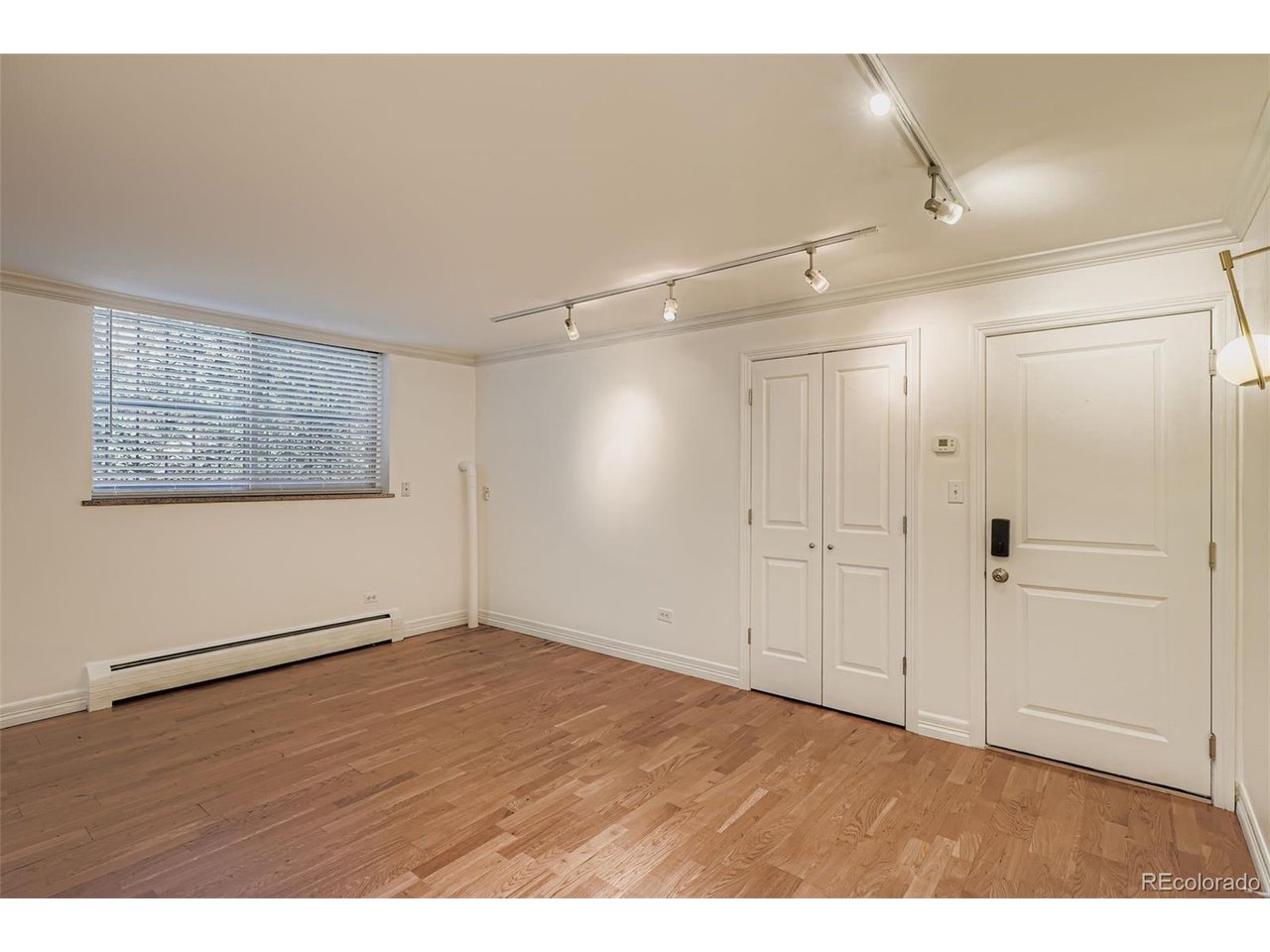 Entry door on the right with another closet to the left.