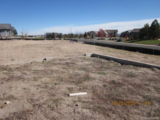 1507 White Fir Ter Castle Rock, CO 80108