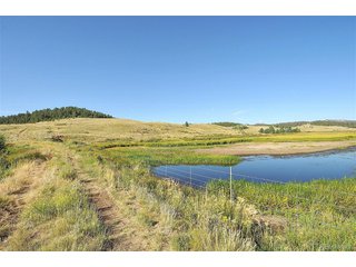1245 Badger Creek Rd Hartsel, CO 80449
