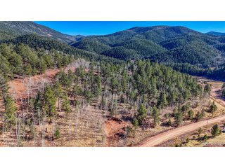 80 Beaver Pond Rd Divide, CO 80814