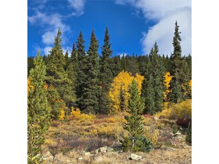 5347 Monitor Lode Claims Leadville, CO 80461