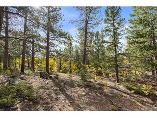 (TBD) Pinon Black Hawk, CO 80422