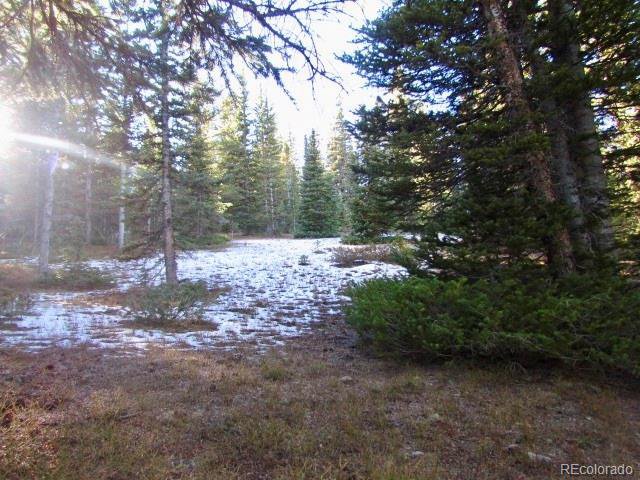 Property Photo 1 Beautifully treed with open areas!