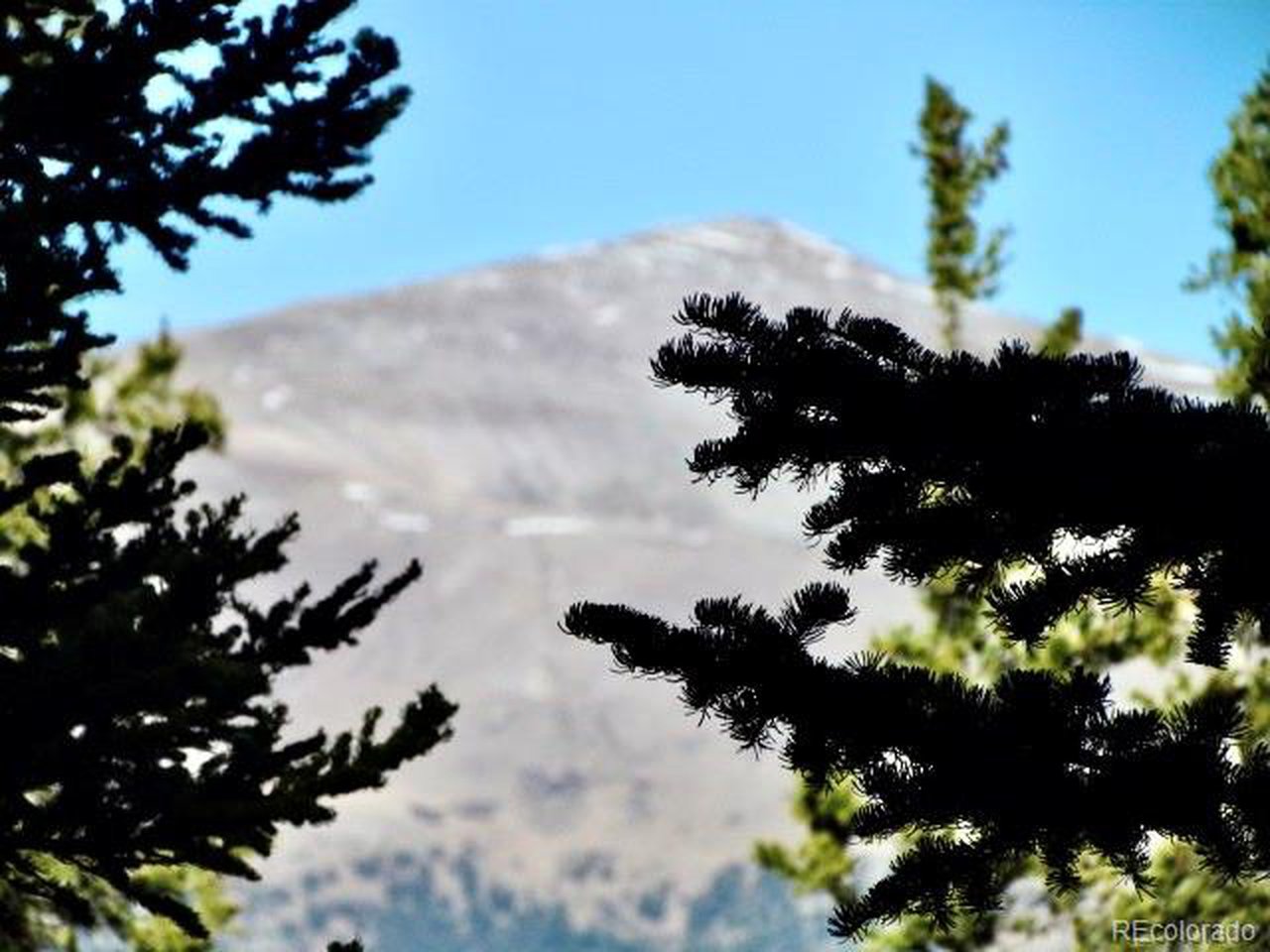 Mount Silverheels