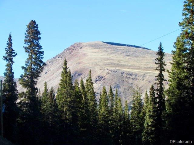 Property Photo 7 Mount Bross