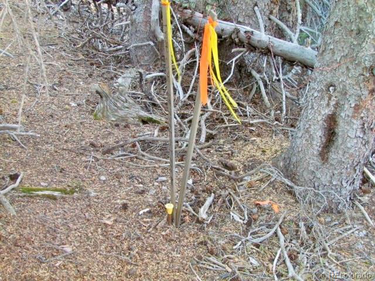 NW corner pin