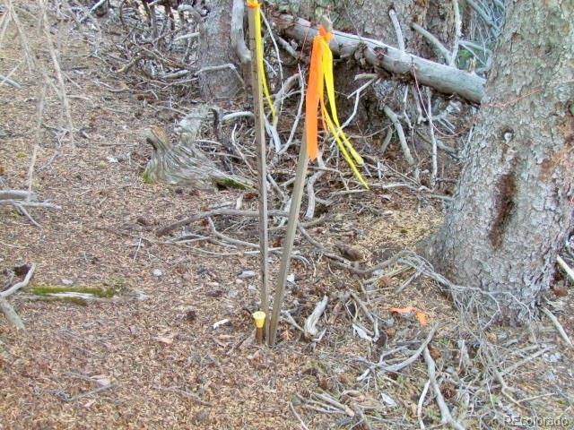 Property Photo 13 NW corner pin