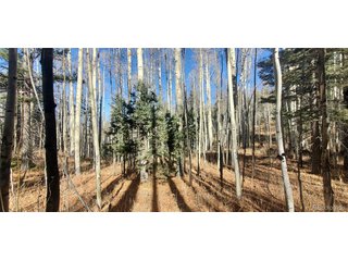 6060 Forbes Rd San Luis, CO 81152