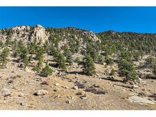 1354 Puma Hills Rd Lake George, CO 80827