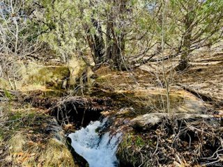 15 Lake Of The Falls Mosca, CO 81146